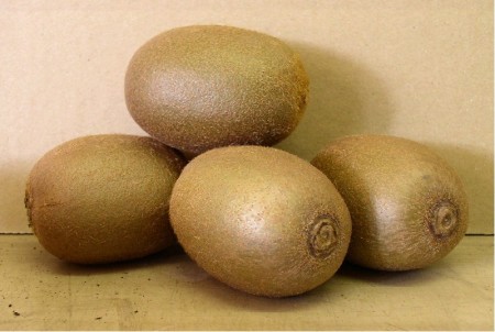 Kiwi velkoplod� HAYWARD - samice