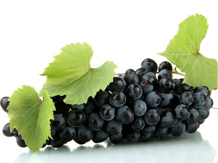 R�va venkovn� NERO - modr�