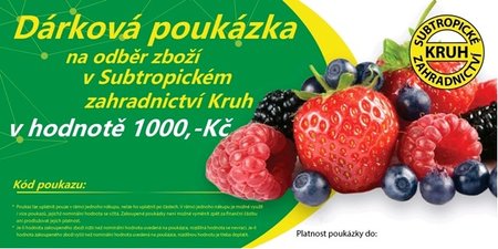 D�rkov� pouk�zka v hodnot� 1000K�