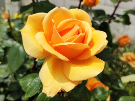 R��e ORANGE CLIMBING - pnouc�, oran�ov�, C 2 l
