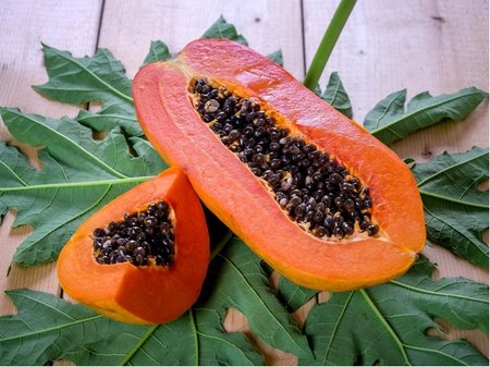 Pap�ja - Carica papaya SUNNYBEES�