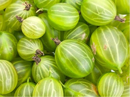 Angre�t MUCURINES - ke�ov�, zelen�