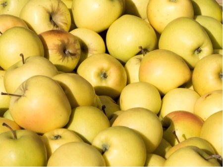 Jablo� GOLDEN DELICIOUS
