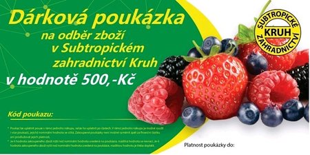 Elektronick� d�rkov� pouk�zka v hodnot�  500K�