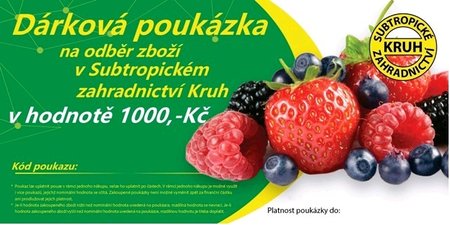 Elektronick� d�rkov� pouk�zka v hodnot�  1000K�