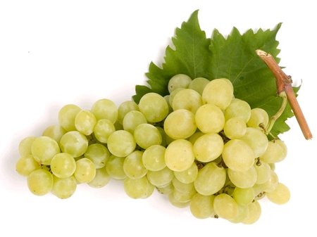 R�va venkovn� MU�K�T MORAVSK� - b�l�
