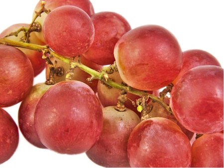 R�va venkovn� RED GLOBE - �erven�