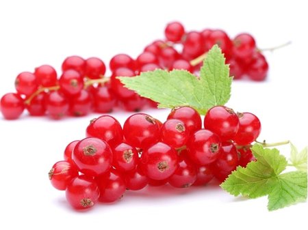 Ryb�z JONKHEER - ke�ov�, �erven�, C 5 l