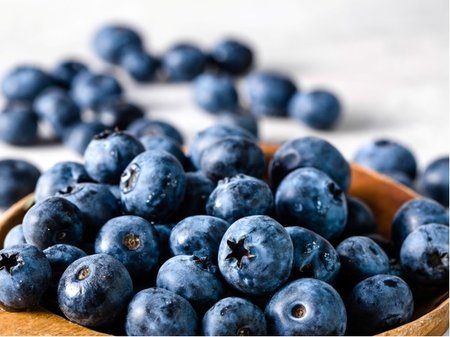 Ob�� kanadsk� bor�vka BLUEGOLD, C 2,5 l