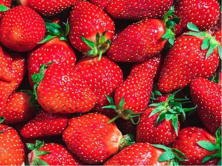 Jahodn�k SANDRA 6 ks - ran�, frigo sadba