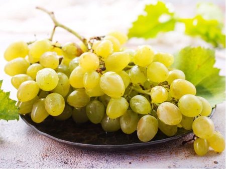 R�va venkovn� REGAL SEEDLESS - b�l�, bezsemenn�
