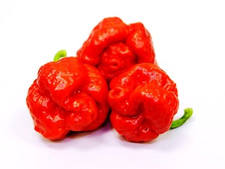 Chilli papri�ka TRINIDAD MORUGA SCORPION