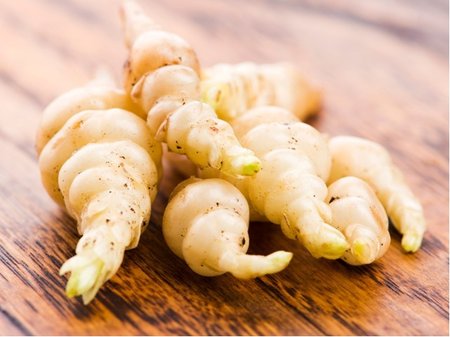 �istec hl�znat� - Stachys sieboldii