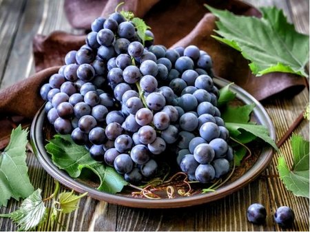 R�va venkovn� MOLDOVA - modr�