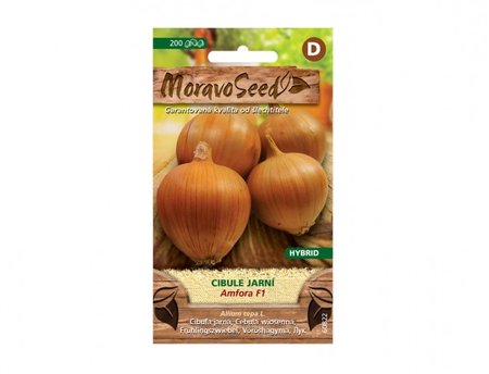Osivo - Cibule jarn� AMFORA F1 - hybrid, �lut�