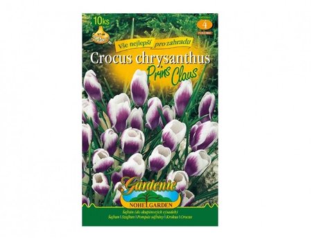 Cibulky - �afr�n, krokus botanick� PRINS CLAUS, 10 ks