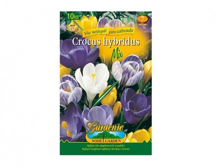 Cibulky - �afr�n, krokus zahradn�, sm�s, 10 ks