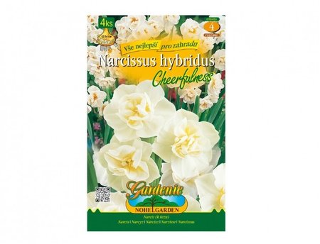 Cibulky - Narcis botanick� CHEERFULNESS, 4 ks