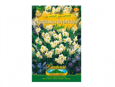Cibulky - Narcis botanick� MINNOW, 5 ks