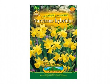 Cibulky - Narcis botanick� T�TE a T�TE, 5 ks