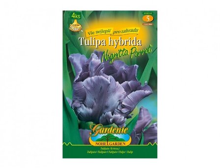 Cibulky - Tulip�n papou�kovit� NEGRITTA PARROT, 4 ks