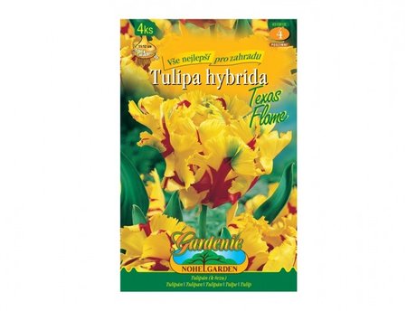 Cibulky - Tulip�n papou�kovit� TEXAS FLAME, 4 ks