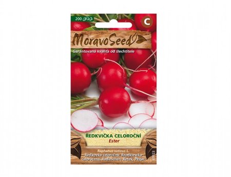 Osivo - �edkvi�ka celoro�n� ESTER, �erven�